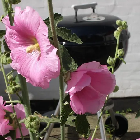 Natursti Silkeborg Panzió