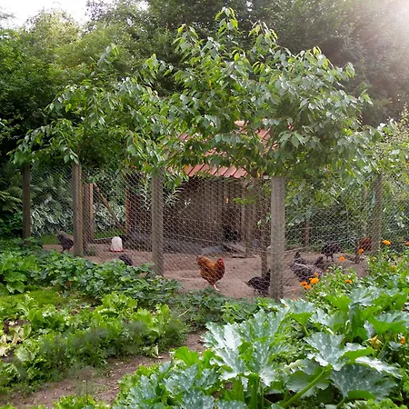 Natursti Silkeborg * Them