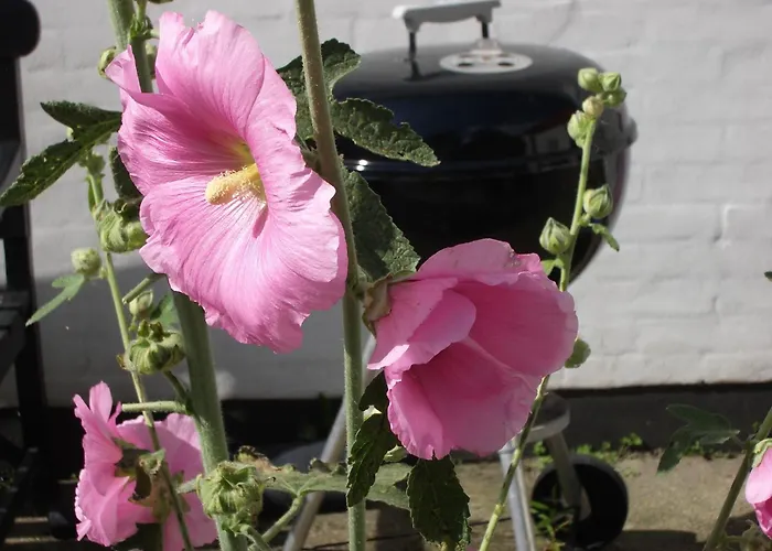 Natursti Silkeborg Bed & Breakfast